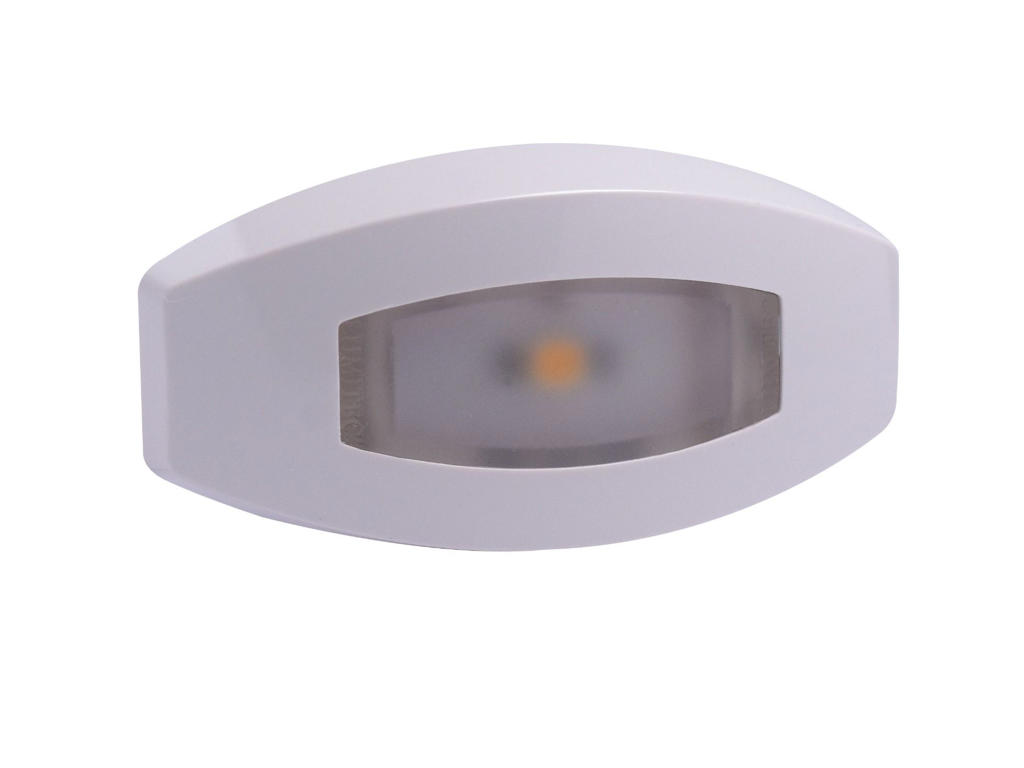 Fiji Courtesy Light. White. Direct. RGBW