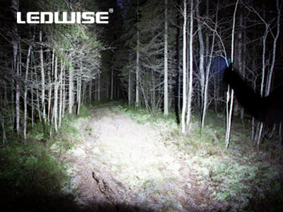 Ledwise Legend lomme & pande lygte, 6000 kelvin